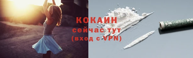 экстази Няндома