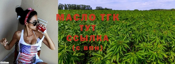 экстази Няндома