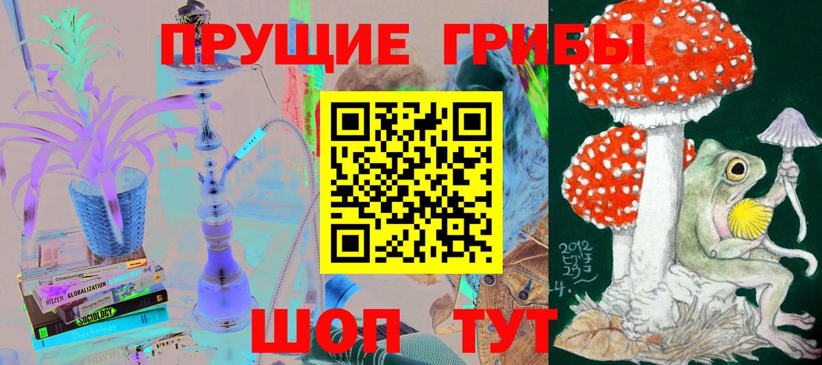 Псилоцибиновые грибы прущие грибы  купить   Старый Оскол  Вход с VPN  Псилоцибиновые грибы Psilocybine cubensis 