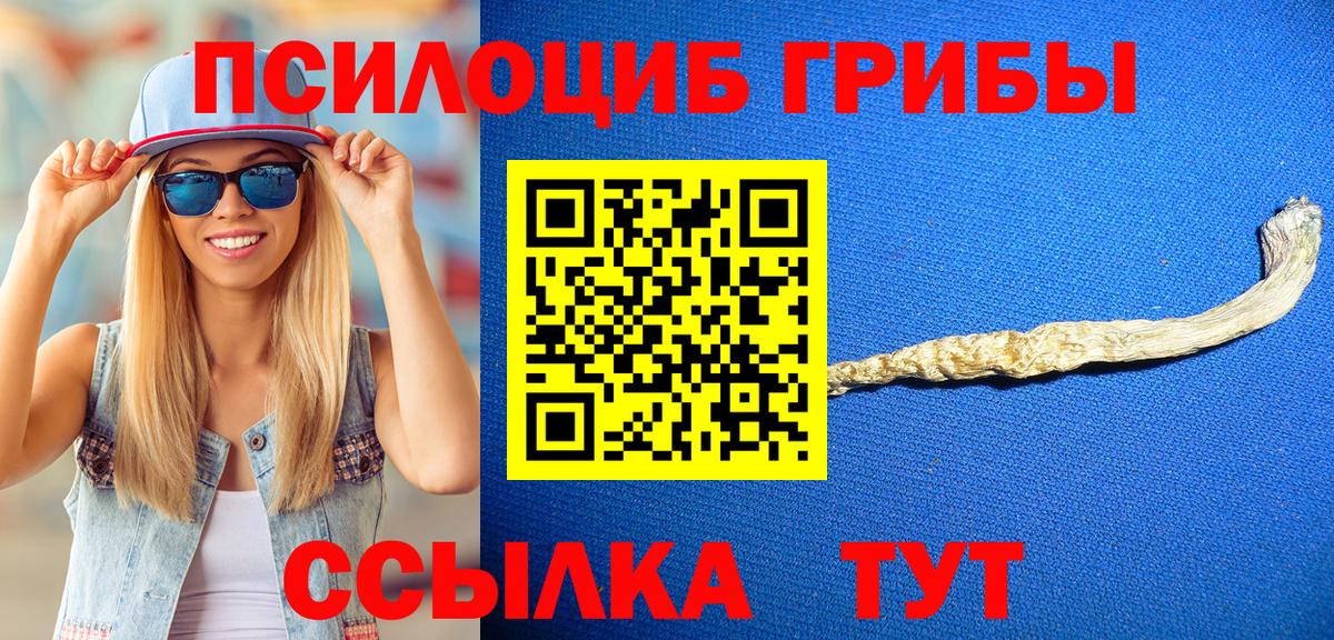 Галлюциногенные грибы Cubensis Старый Оскол